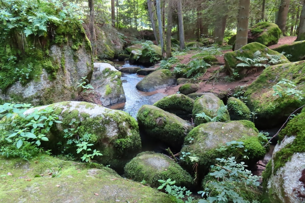 Wanderung von Floß durch den Doost