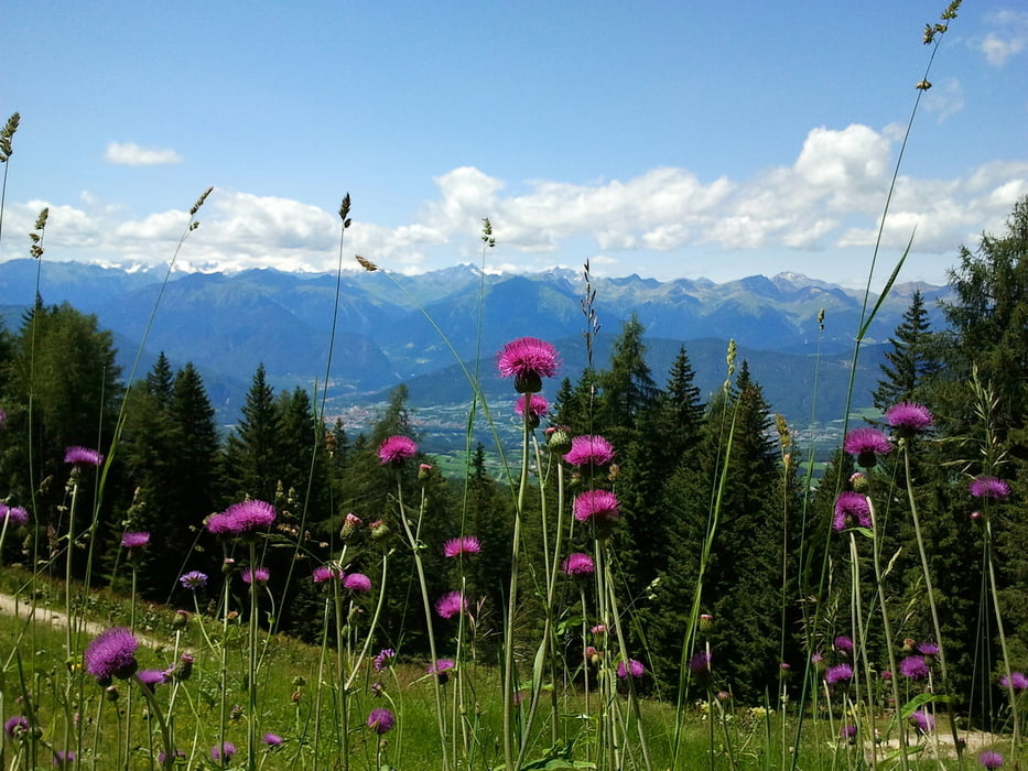 Von Ruffre auf den Monte Roen und Penegal