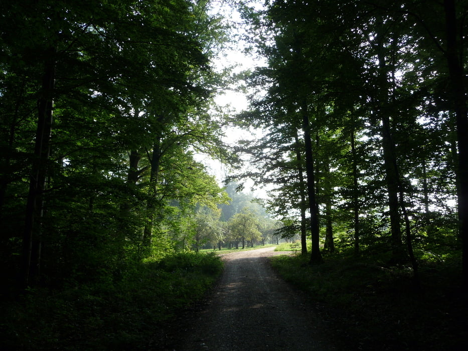 Tagestour Burg Teck, Beurener Fels und Hohenneuffen