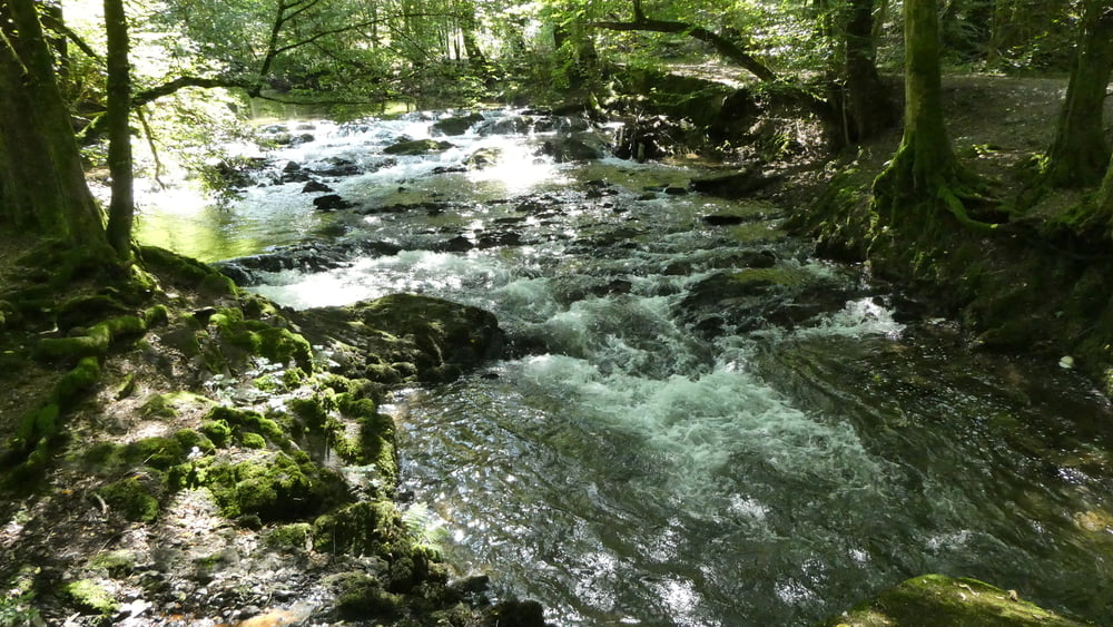 Uferwege an Eifgen und Dhünn