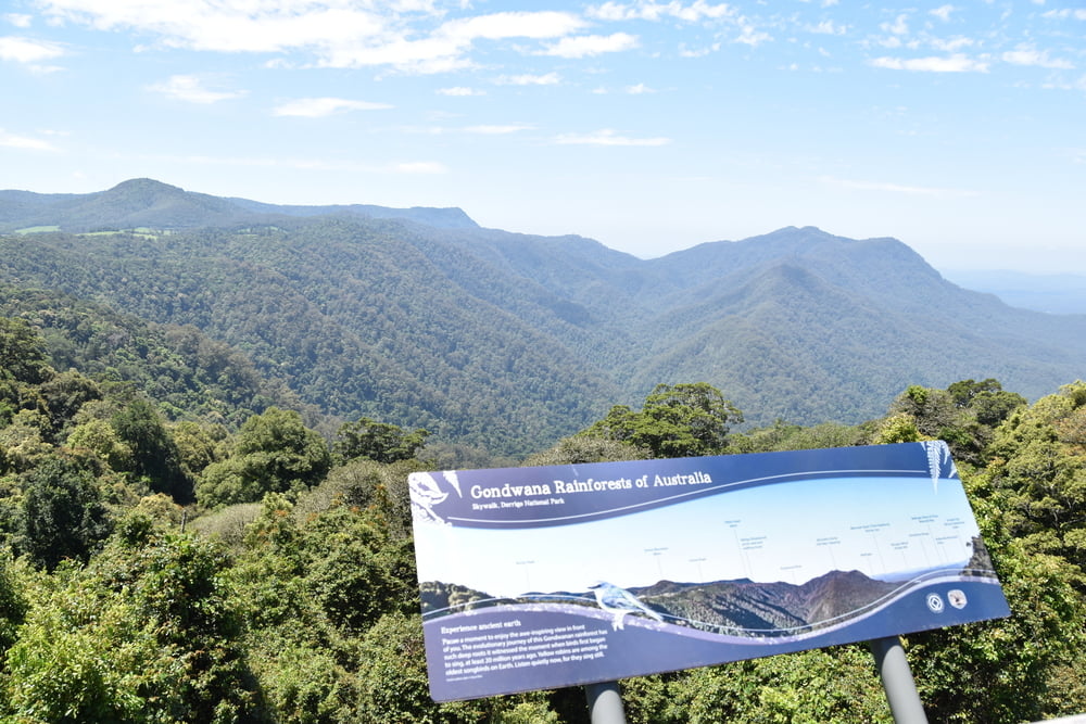 Dorrigo NP - Rainforrest Center - The Glade Picnic Area