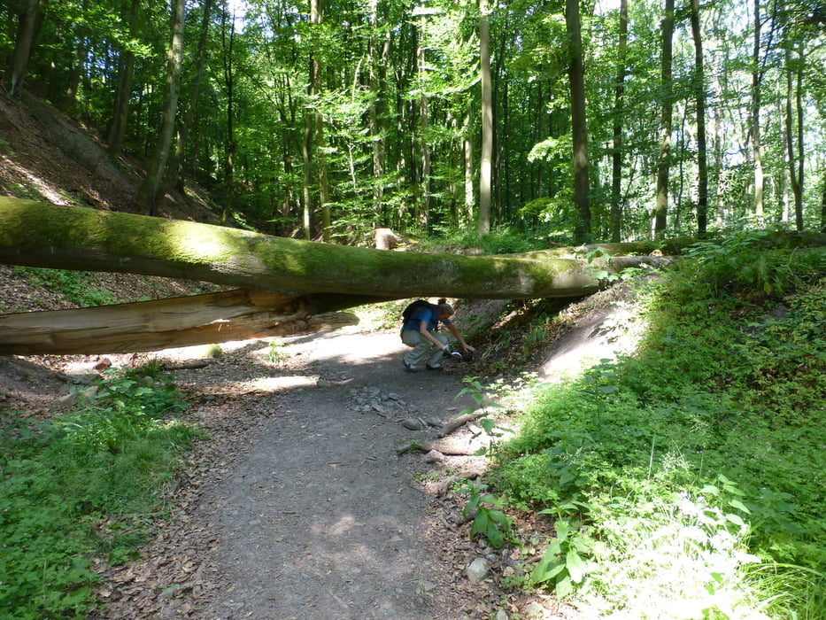 Heiligenbergsee_Katzenbachstausee_Schlierkopf