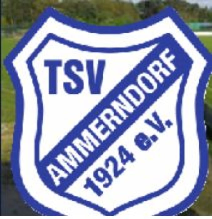 RTF Ammerndorf 2016