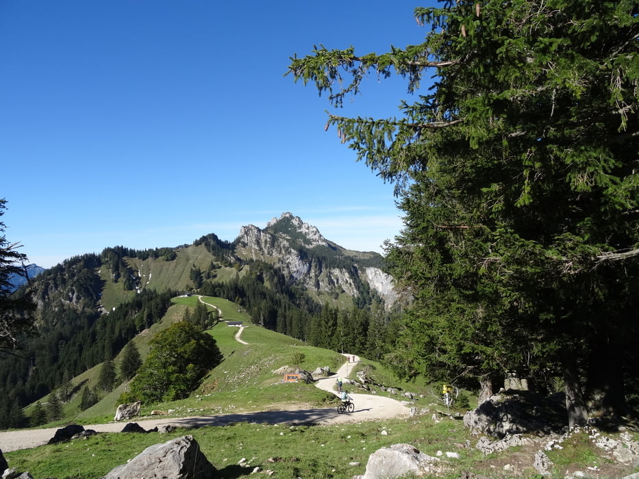 Piesenhausener Hochalm, Rottau. Reifinger See, Niedernfels