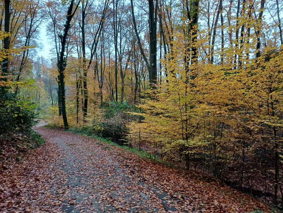 Leichlingen - Felder, Wälder und Asphalt