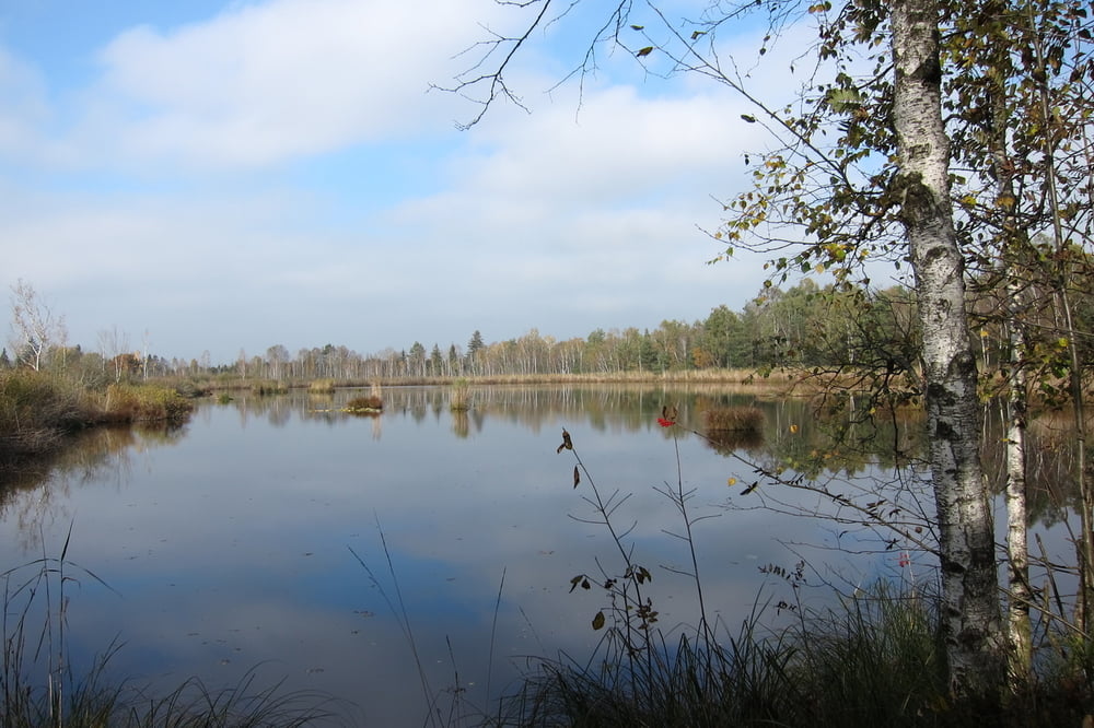 Herbstwanderung durch`s Wurzacher Ried