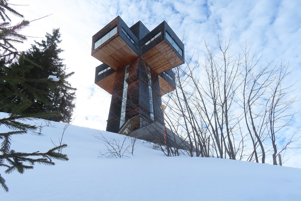 Buchensteinwand im Doppelpack