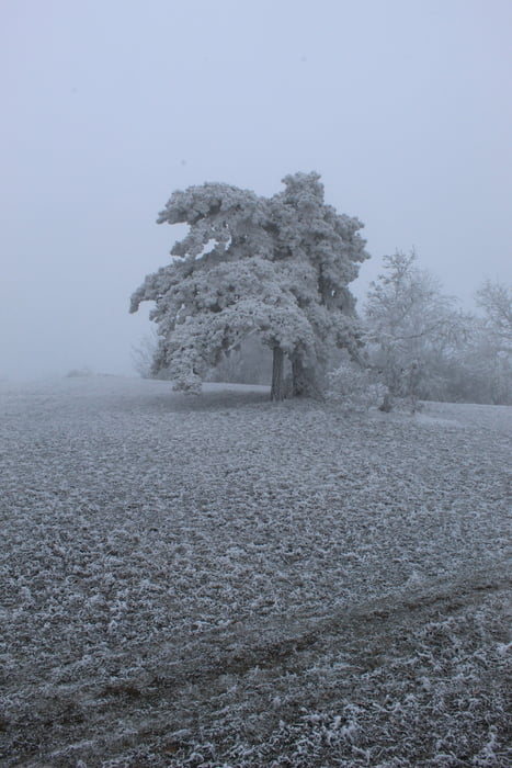 01/2025.Žibrica-Štitáre