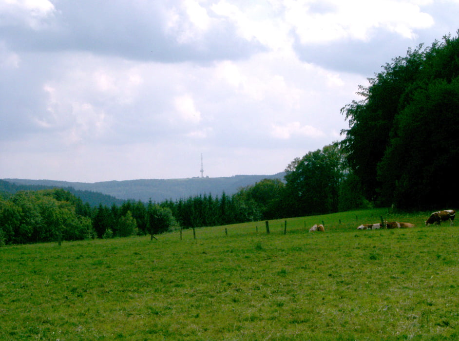 Mudau - Galmbach - Eutersee - Mudau