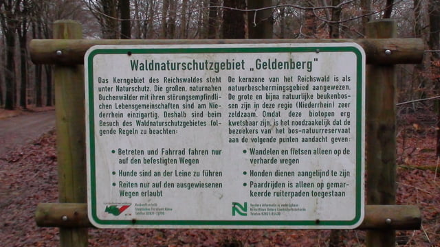 Durch den Reichswald