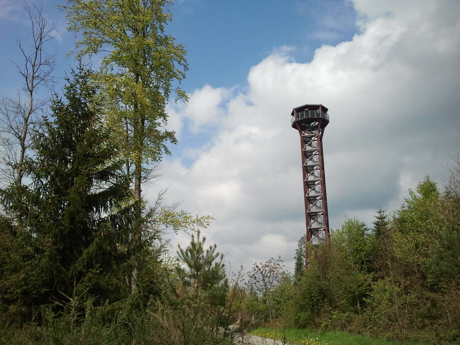 Kleine Hohenwarter Wald- (Rand-) Runde