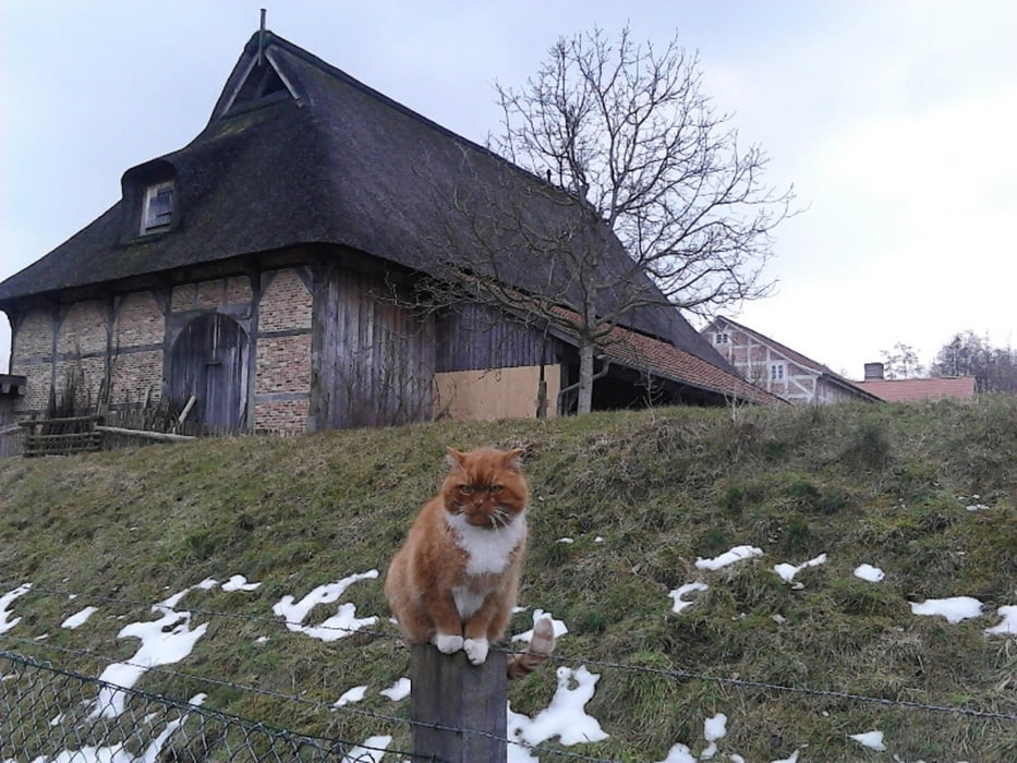 Kiekeberg - Wildpark Schwarze Berge - Vahrendorf