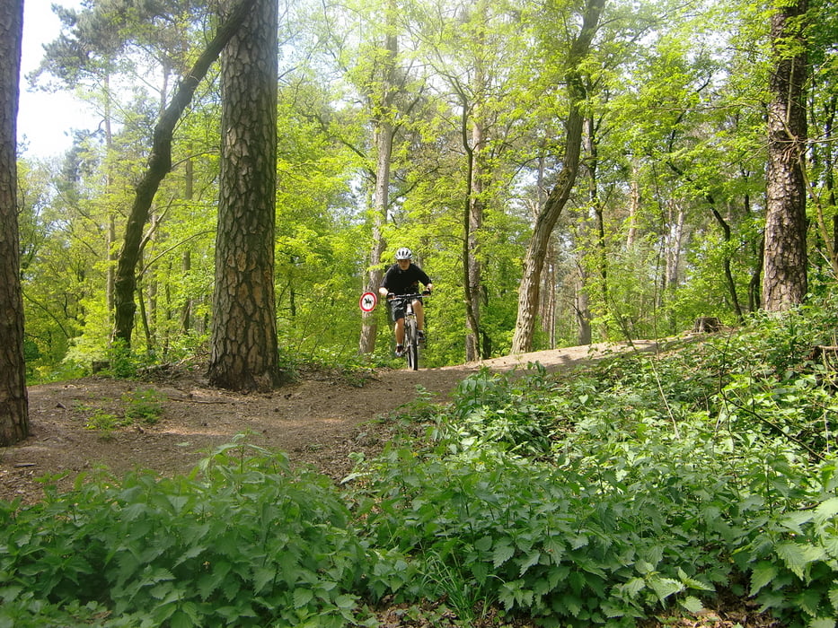 Feierabendrunde durch die Coesfelder Heide