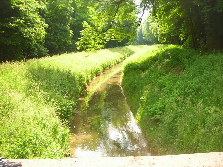 Partnertour Rohrbach-Hockenheim-Leimen-Rohrbach