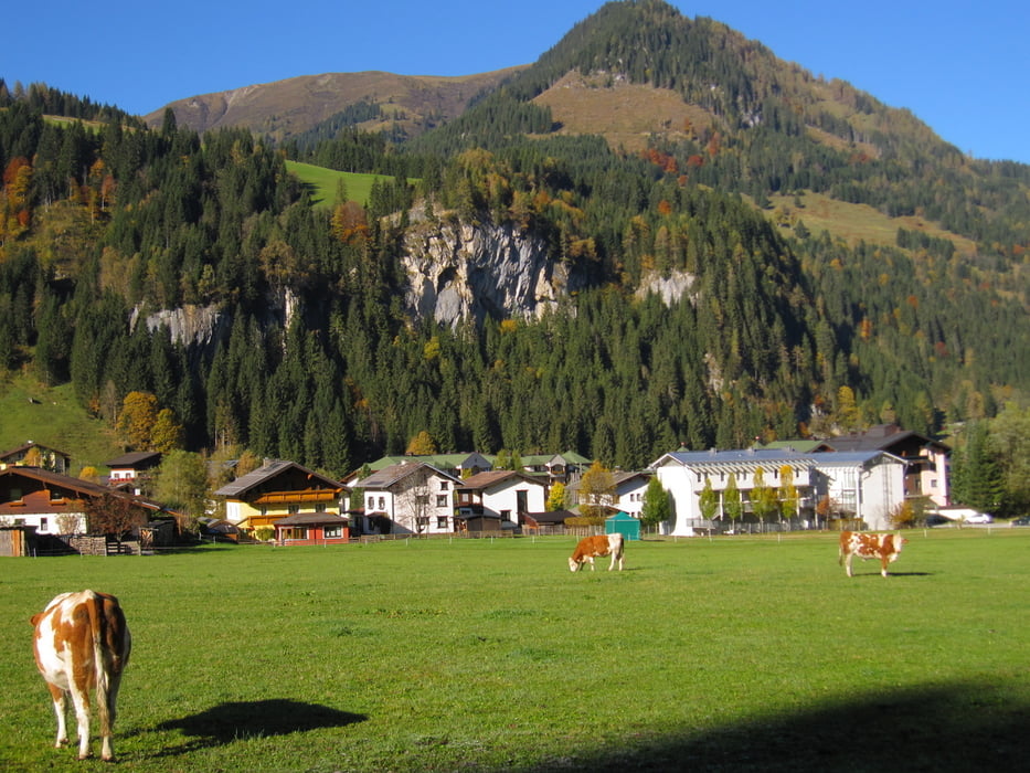 Tour zum Gasthof Pröll