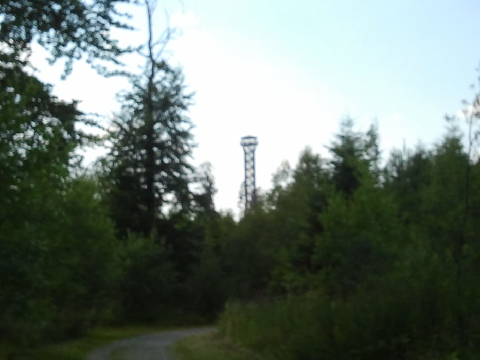 Goldstadttour: Das Nagoldtal, die Monbachschlucht und der Aussichtsturm Hohe Warte