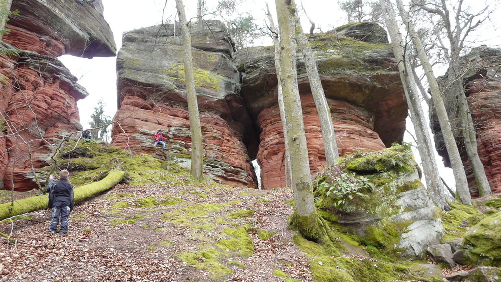 Wasgau Eppenbrunn Altschlossfelsen