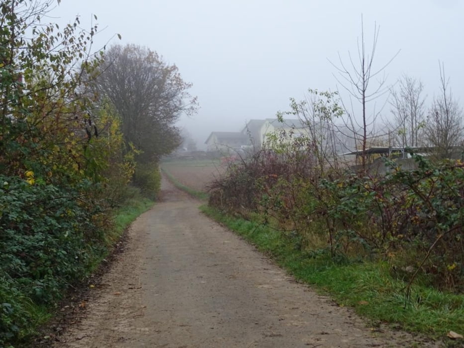 Wanderung im Nebel zwischen Niederselters und Eisenbach