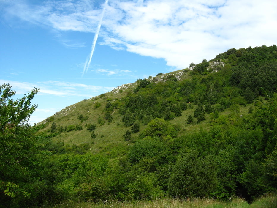 20100826_Devínska kobyla