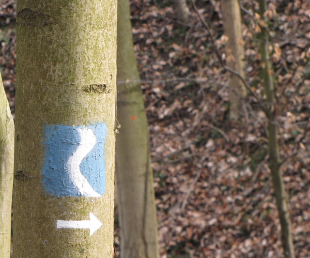 Rheinsteig Tour 2: Dollendorf bis Königswinter (Drachenfels)