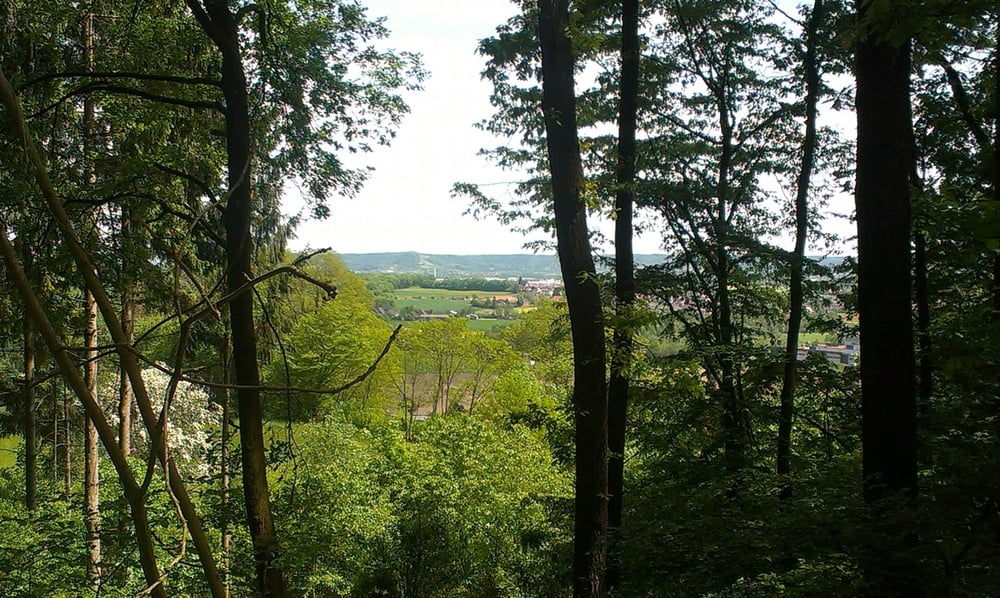 Waldenburg - Einkornblick