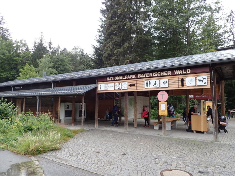 Baumwipfelpfad - Tier Freigelände - Nationalpark Bayerischer Wald