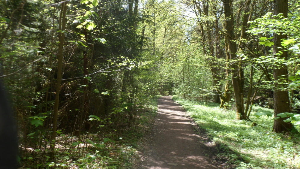 Familienwanderung - Wendelstein zum Steinbrüchlein