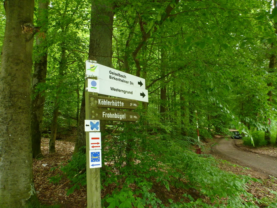 Spessartbogen Rundweg Teil2 Horbach-Neuses-Frohnbügel