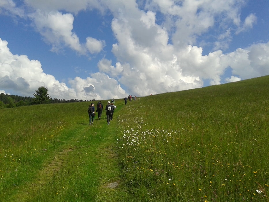 walk&talk 2014 Mühlviertel