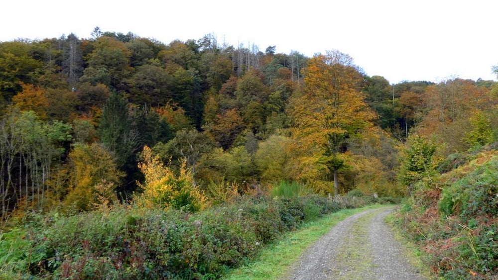 3-Bäche-Tour von Schöllerhof