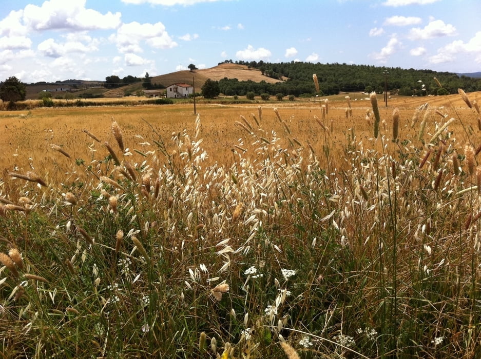 Roundtrip - Palmoditerra - Manciano - Palmoditerra