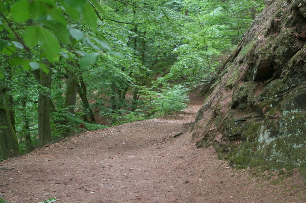 Saar-Hunsrücksteig Mettlach-Trier