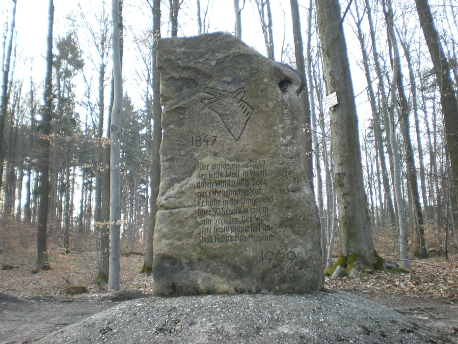 Hohenhaslach_Gr. Saukopf_Peifferhütte_Wolfstein_Schippachtal_Hohenhaslach