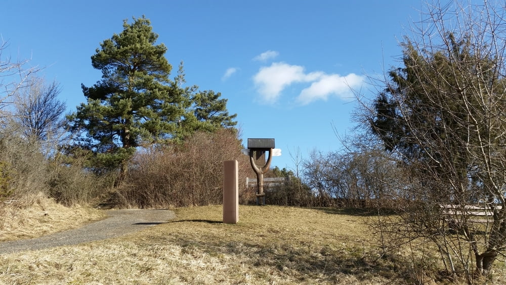 Goldstadttour: Die Wacholderheide Büchelberg, der benachbarte Kuppelzen und der alte Landgraben