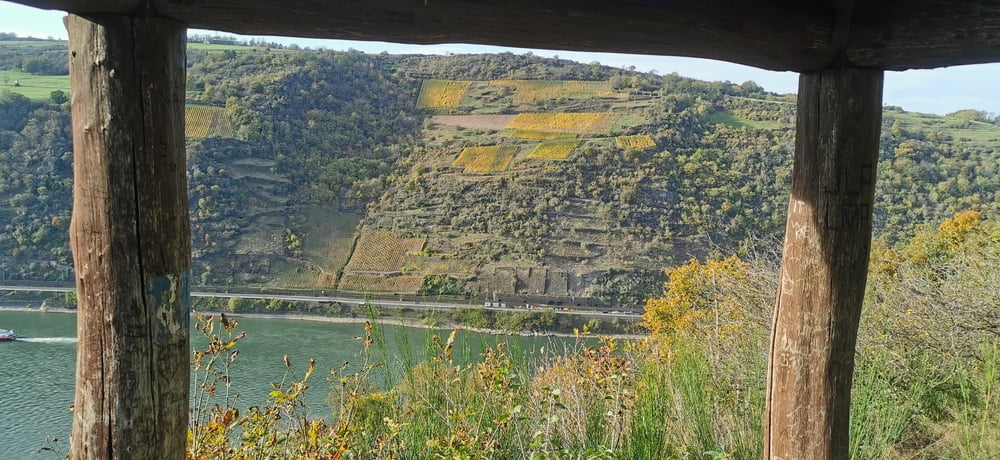 Rheinsteig Aussichtstempel Waldschule - St. Goarshausen