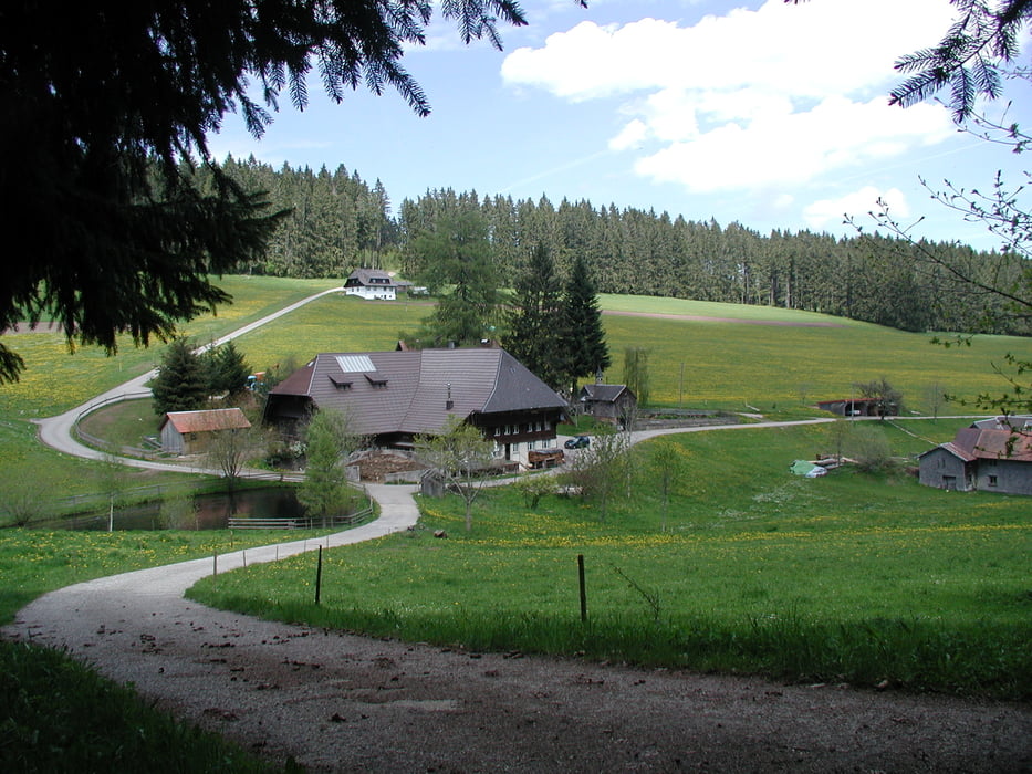 Wanderung in´s Wiesbach (Schwärzenbach / Titisee-Neustadt