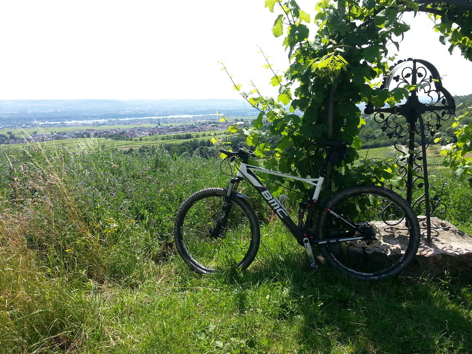 Eltville_Rausch_GrüneB_Hausen_ParkpRoterK_KalteHerb_und_zurück