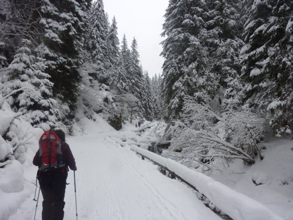 Schneeschuhtour unter den Geislerspitzen Südtirol