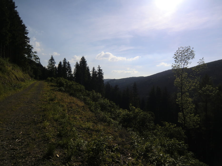 Volle Rose - Dreiherrenstein - Panoramaweg - Kickelhahn - Ilmenau