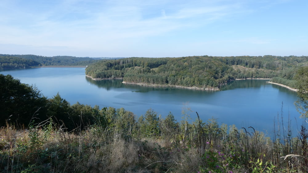 Durch die Wälder oberhalb der Dhünntalsperre