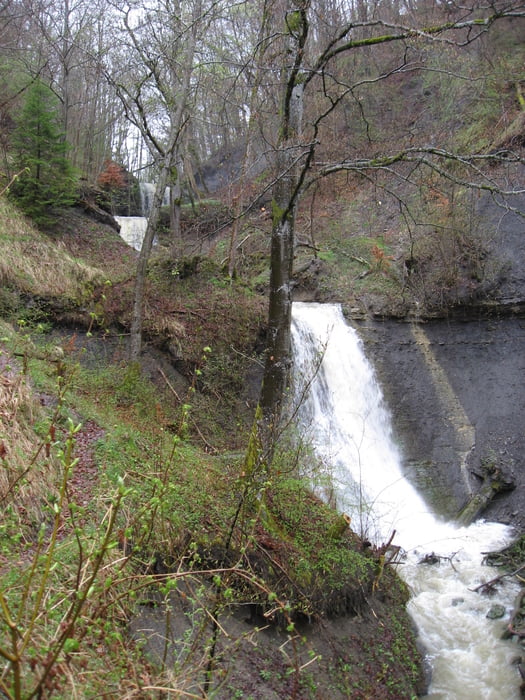 Schleifenbachwasserfälle in Blumberg