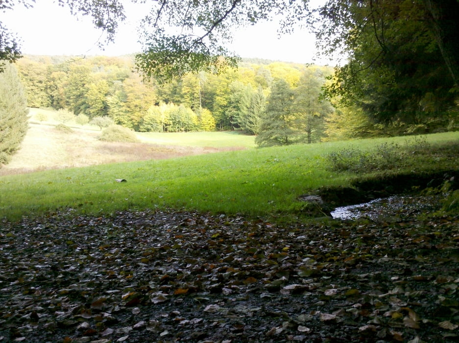 Downhilltour von Oberbessenbach zum Spiesknückel