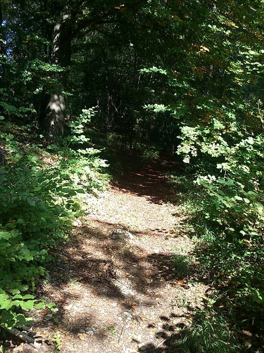 Familienwanderung - bergige Runde Klingenhof, Schrotsdorf und Kucha