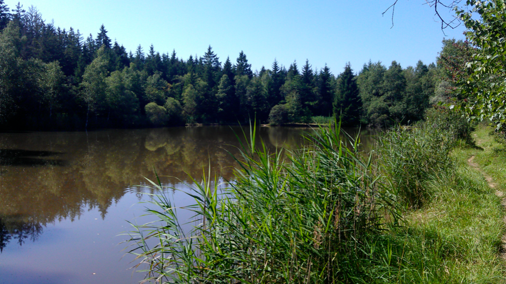 Vom Starnberger See zum Ammersee