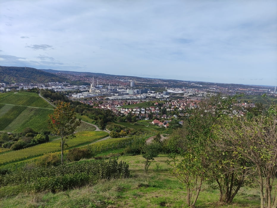 Fellbach- Tour am Kappelberg