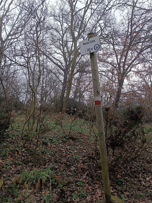 Escursione al Monte Cinto a Cinto Euganeo (PD)