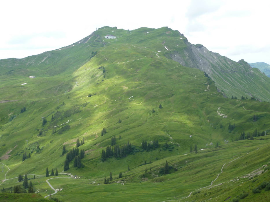 Diedamskopf (Mittelstation - Breitenalpe - Neuhornbachhaus - Neuhornbachjoch - Kreuzle - Bergstation)