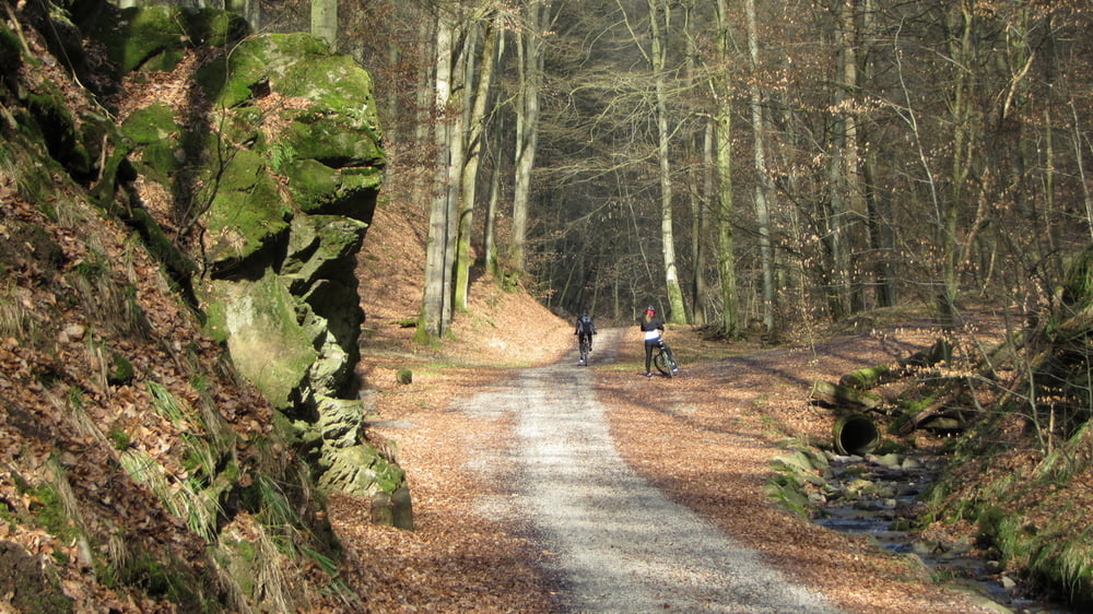 Durch Rückersbacher Schlucht zum Hahnenkamm