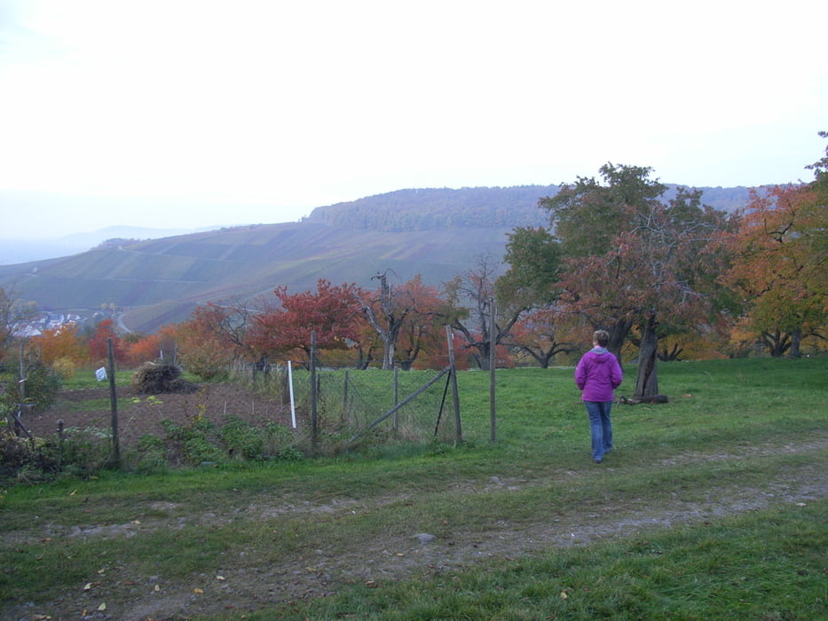 Remstal Höhenweg Etape 02 Fellbach Winterbach