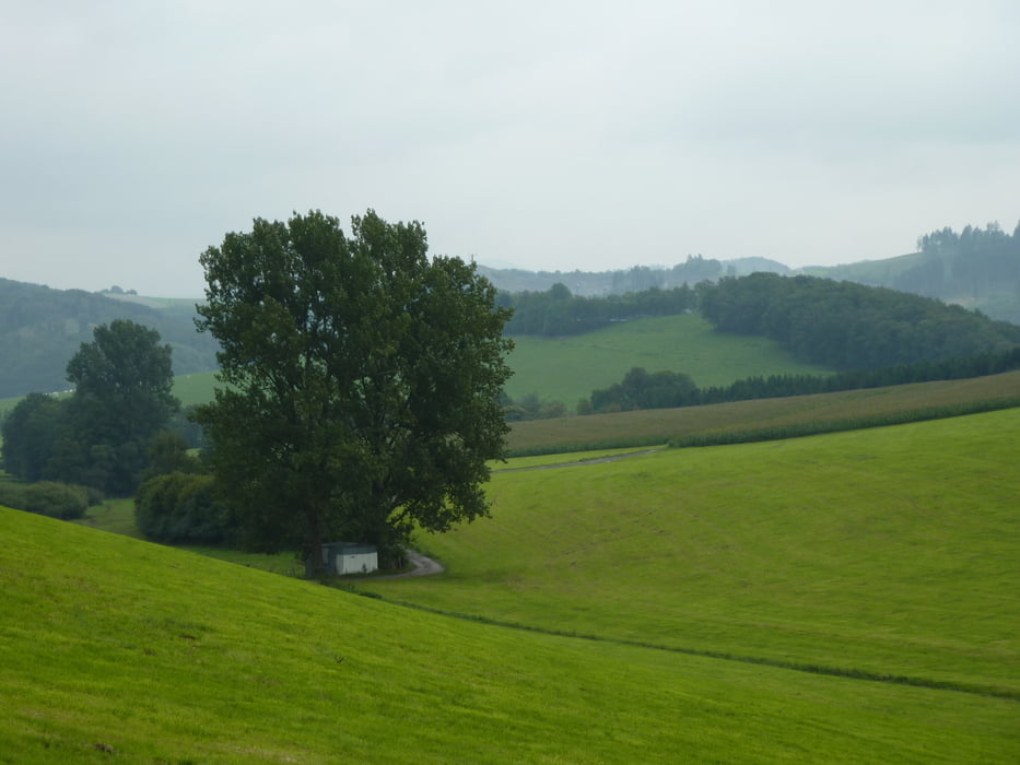 Altenhellefeld Rundwanderung